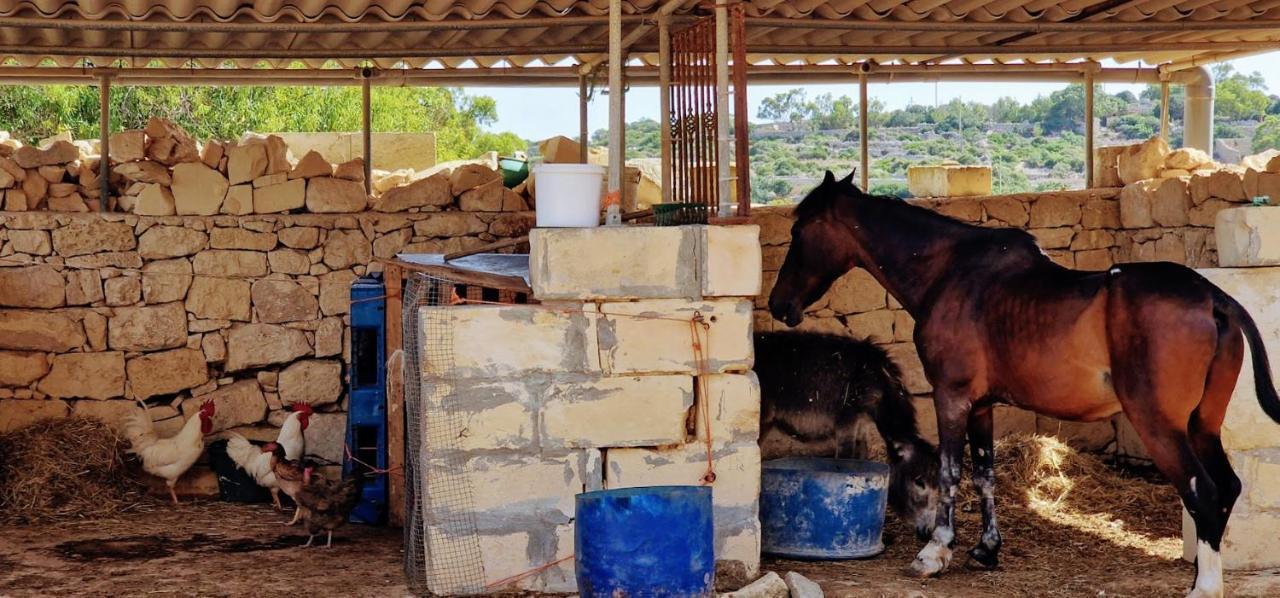 Valley View Qrendi ภายนอก รูปภาพ